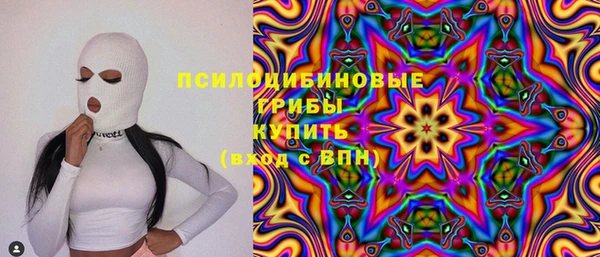 мет Алексин