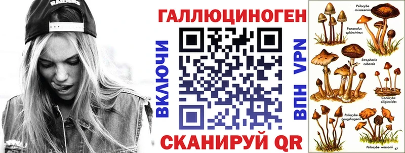 Галлюциногенные грибы прущие грибы  купить   Дмитриев 